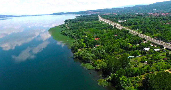 Gosapanca İletişim